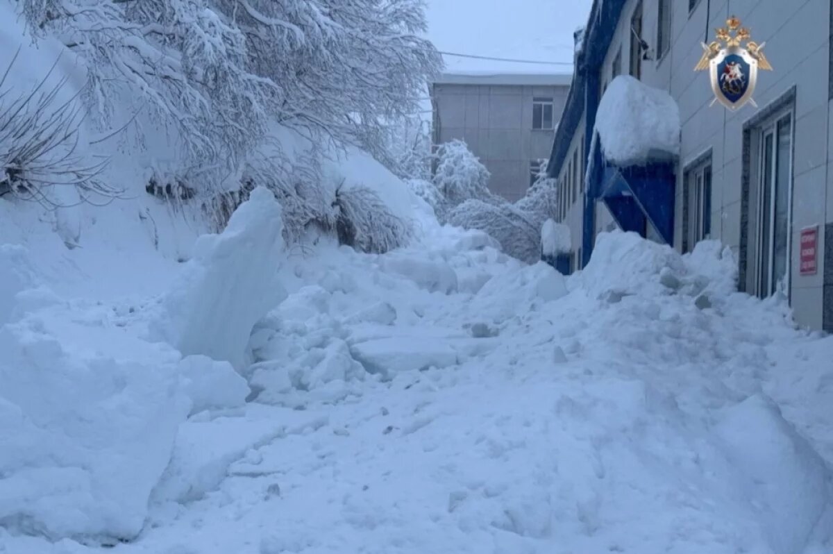    На Камчатке будут судить гендиректора УК из-за гибели мужчины под снегом