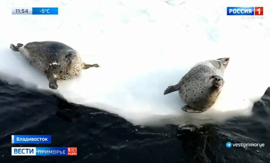    Источник фото: