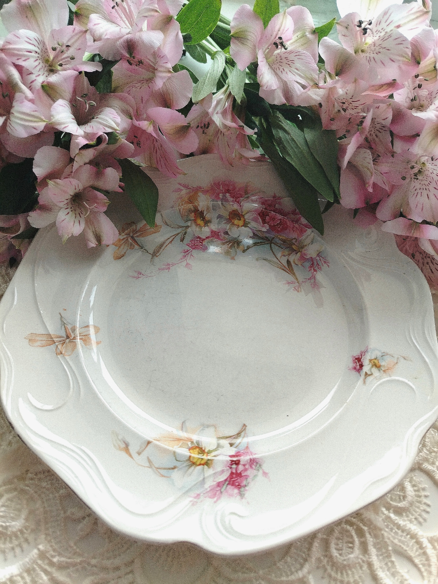 Вот она,  красавица.