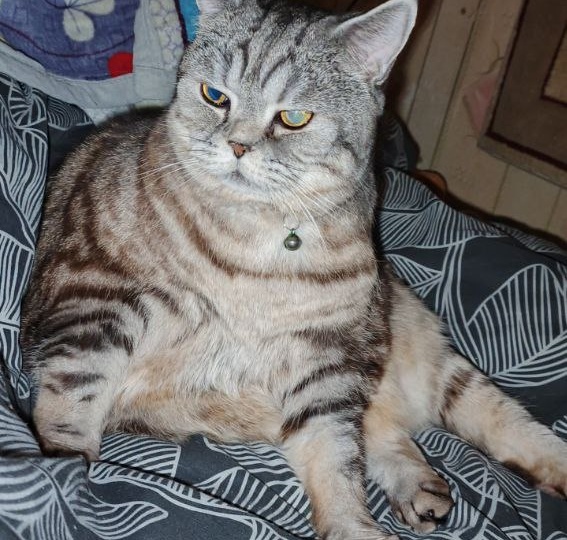 Друзья, нашему Артурке нужна помощь