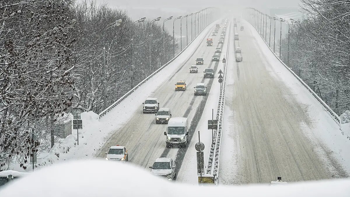    Фото: vm.ru Евгений Агапов