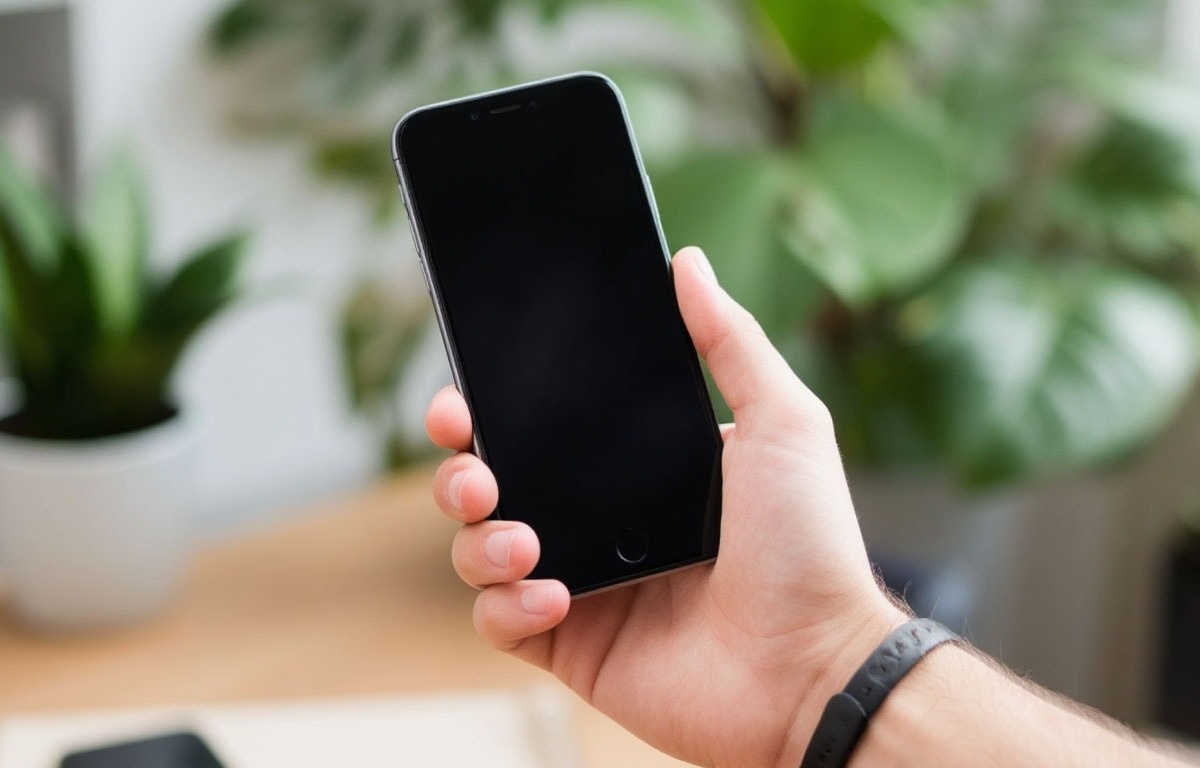    Фото: Коллаж RuNews24.ru