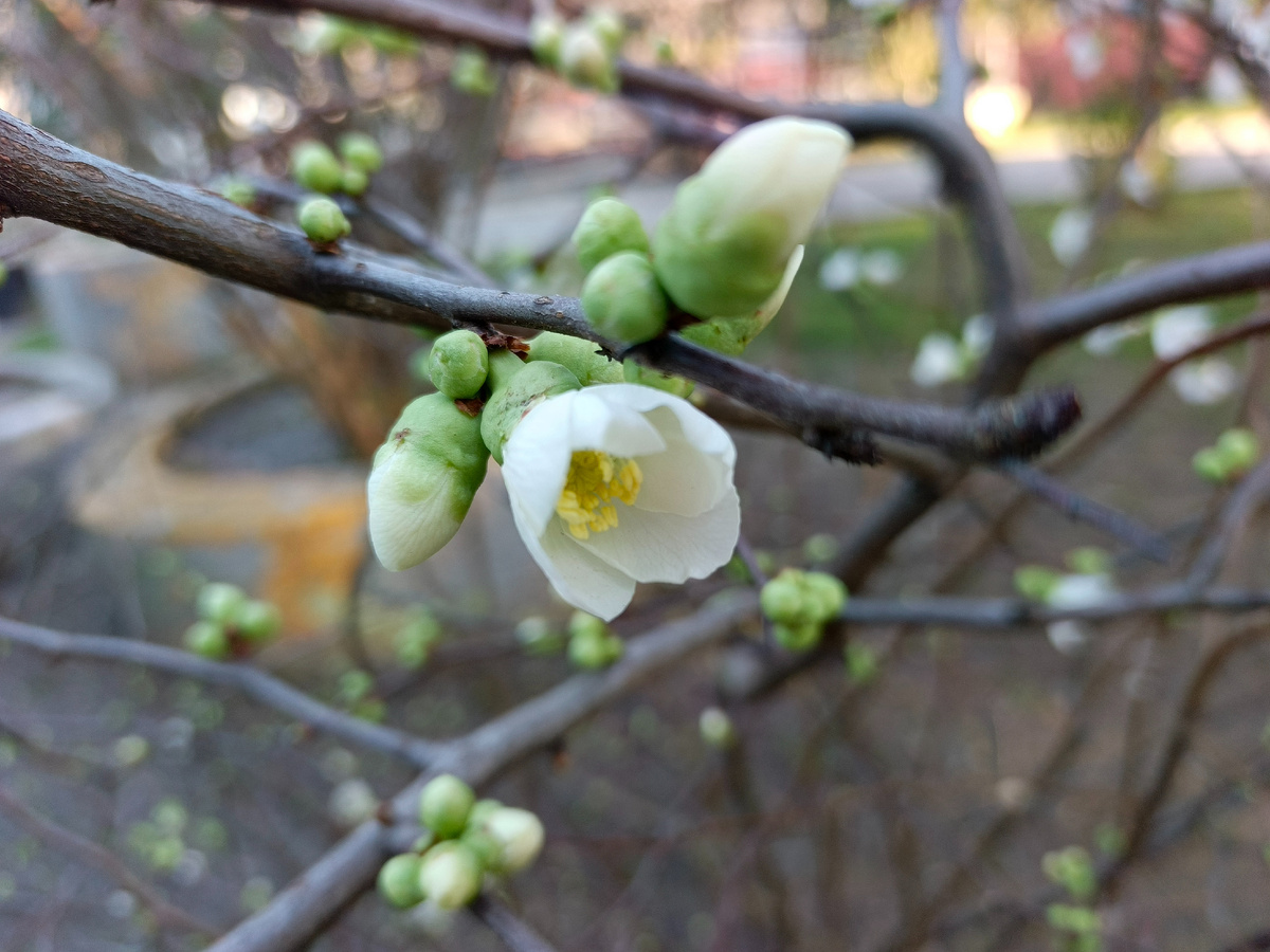 Адлер, февраль 2025 года