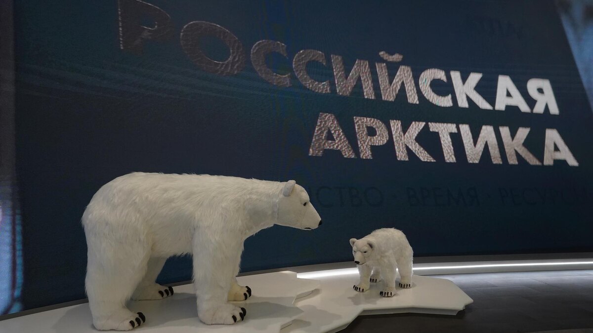    Фото: ИЗВЕСТИЯ/Эдуард Корниенко