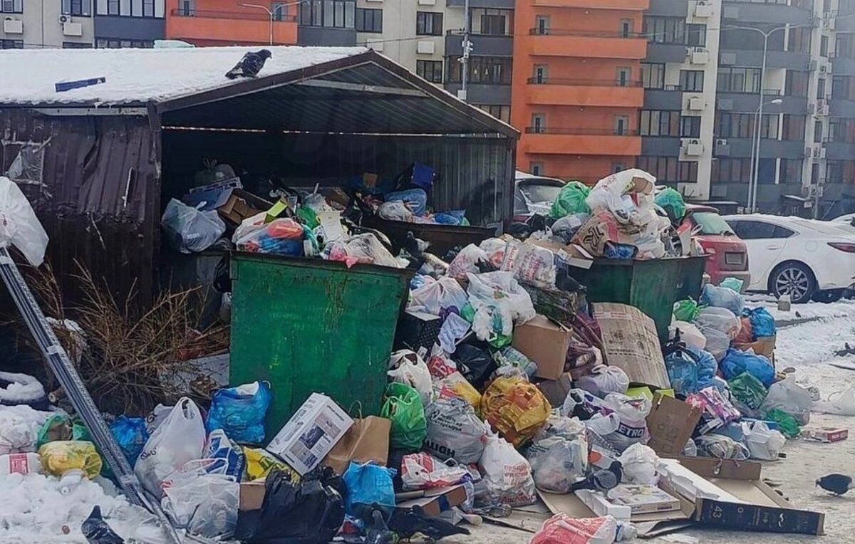    Фото: из архива ТГ канала Антонины Пшеничной