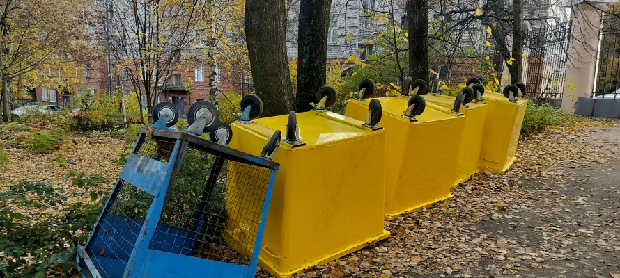    фото: © Людмила Корвякова