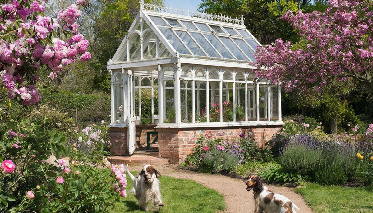 Анлийская теплица в Барнауле : как я пришла к идее создать себе такую?