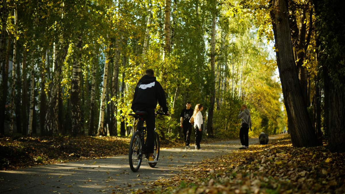 Озелененная зона в районе ул. Республики, 200, 204 – это аллея возле Да.Квартала «Республика» и ЖК «Симпл»