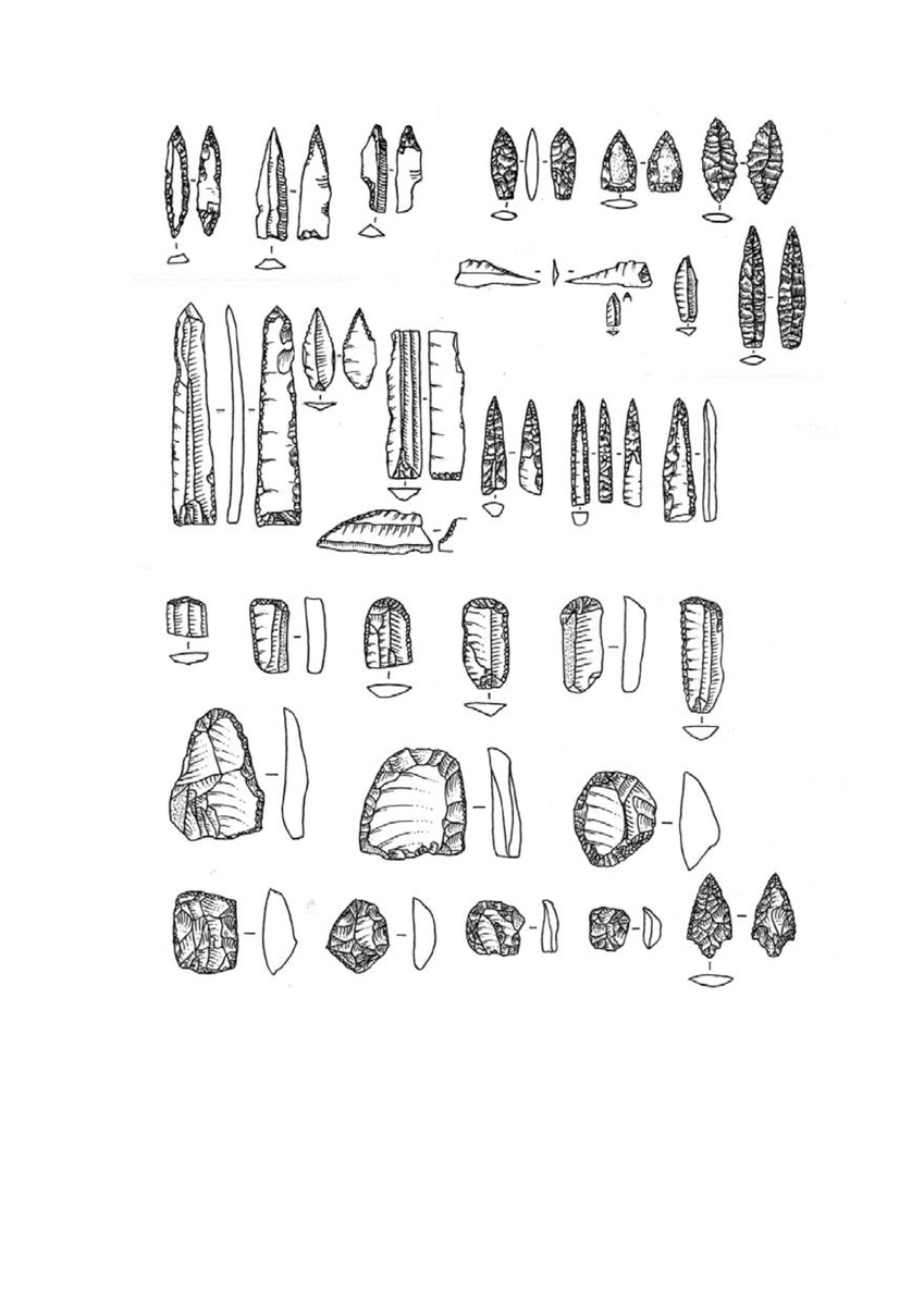 Наконечники и скребки.