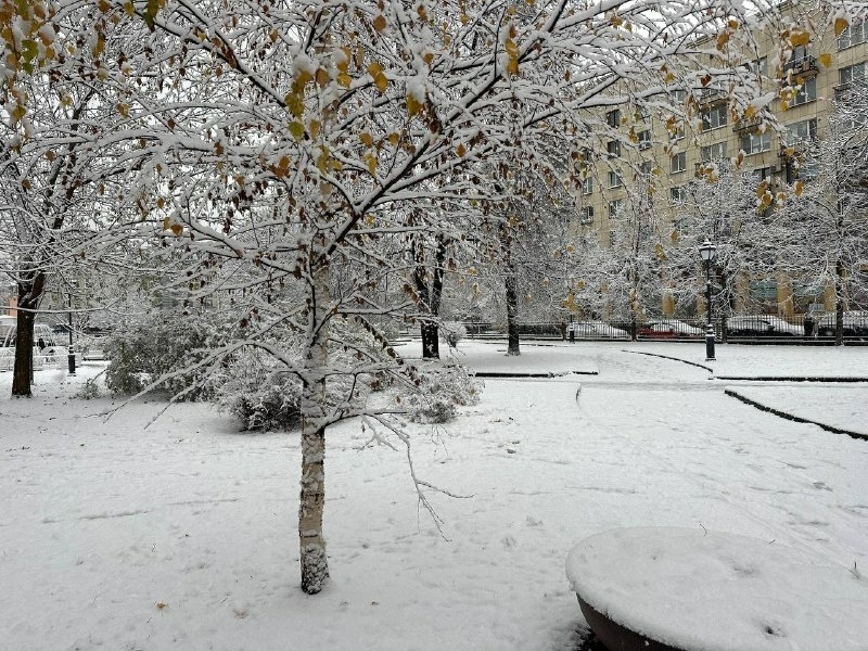     Фото: Бриф 24