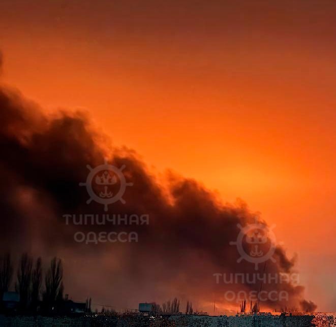   Фото: соцсети