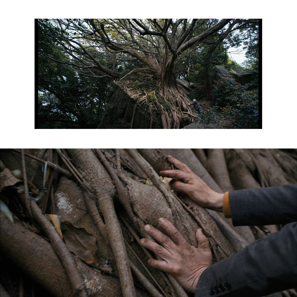 Кадры из фильма Семья в аренду, 2025