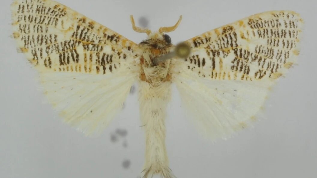    Пресс-служба ТГУ