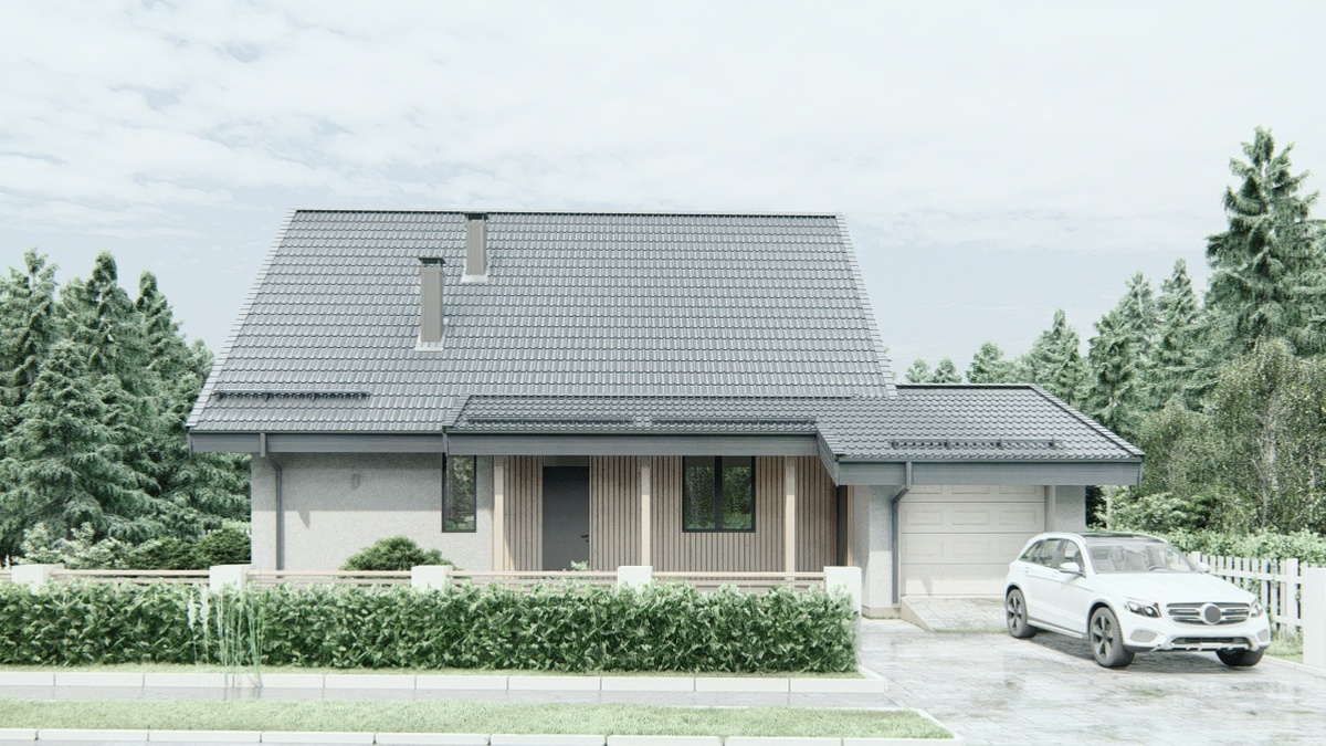 Перспектива Вид 2