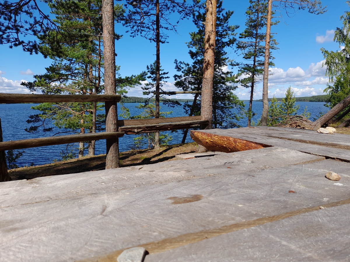 А некоторые незознательные граждане приезжают на Ладогу чтобы водку пить. Тьфу на них. фото автора