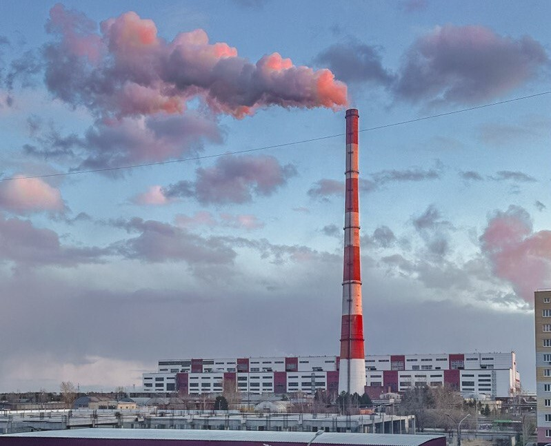 Фото: Юлия Божок, ИА "Тюменская линия"