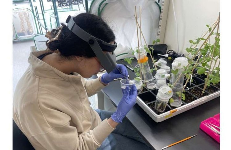    Фото: Elias Bloom