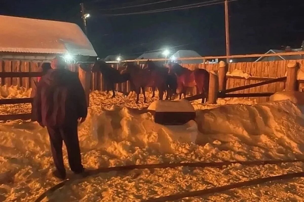    В Сысерти при пожаре в конюшне погиб мужчина
