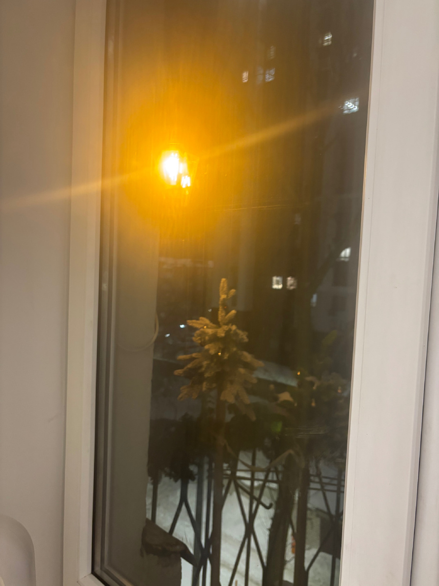 Пока что здесь стоят елочки, не хочется копошится в снегу убирая, их