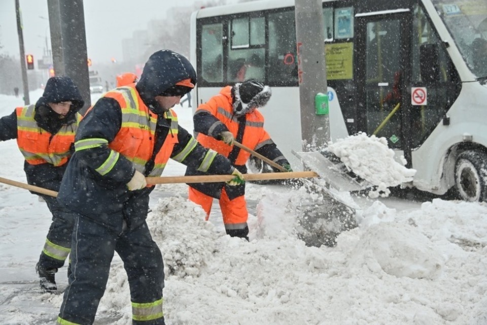    Директорам компаний-перевозчиков внесены представления Евгения ГУСЕВА