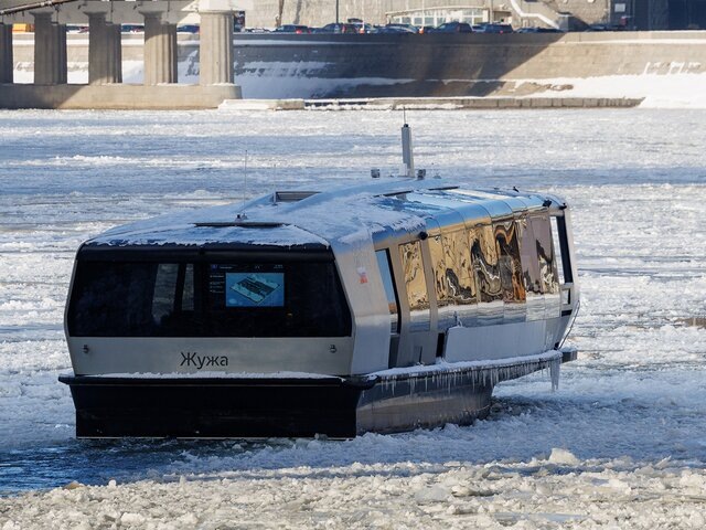    Фото: портал мэра и правительства Москвы/Олег Сосницкий