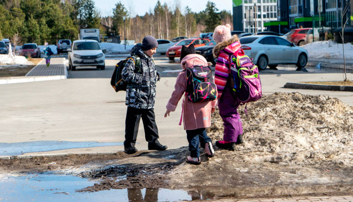 В России хотят ввести продуктовые карточки для бедных семей