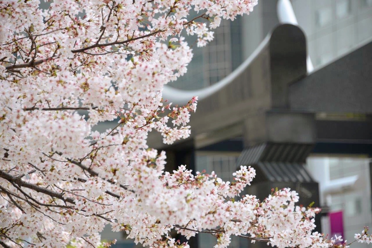 Токио 2014г.Фото из личного архива автора канала.