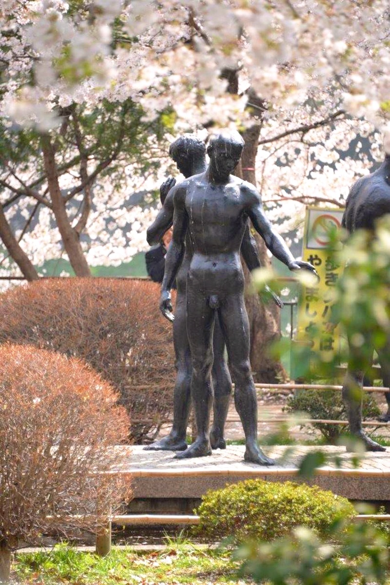 Утопающие в цветущей сакуре парки и скверы Токио в конце февраля,начале марта,притягивают миллионы туристов со всего мира. Фото из личного архива автора канала.