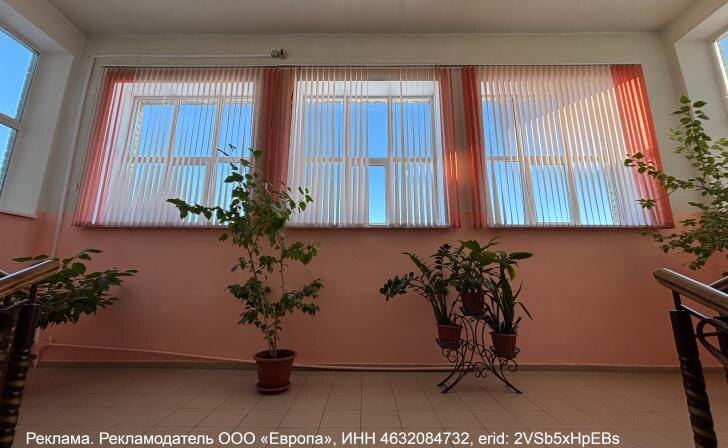    Курские известия