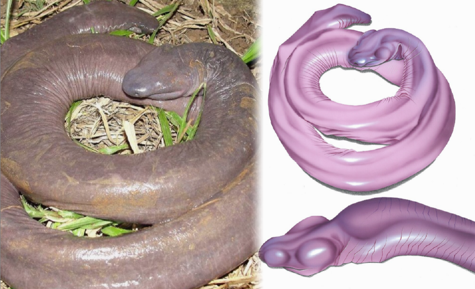 Снимок: ru.wikipedia.org