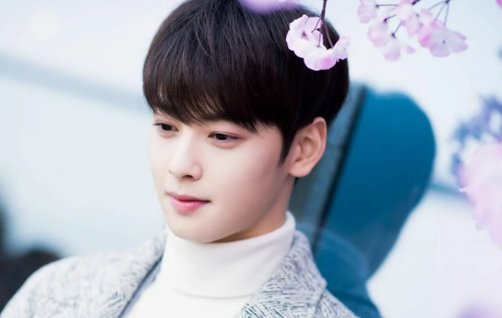 Актер Ча Ы Ну.