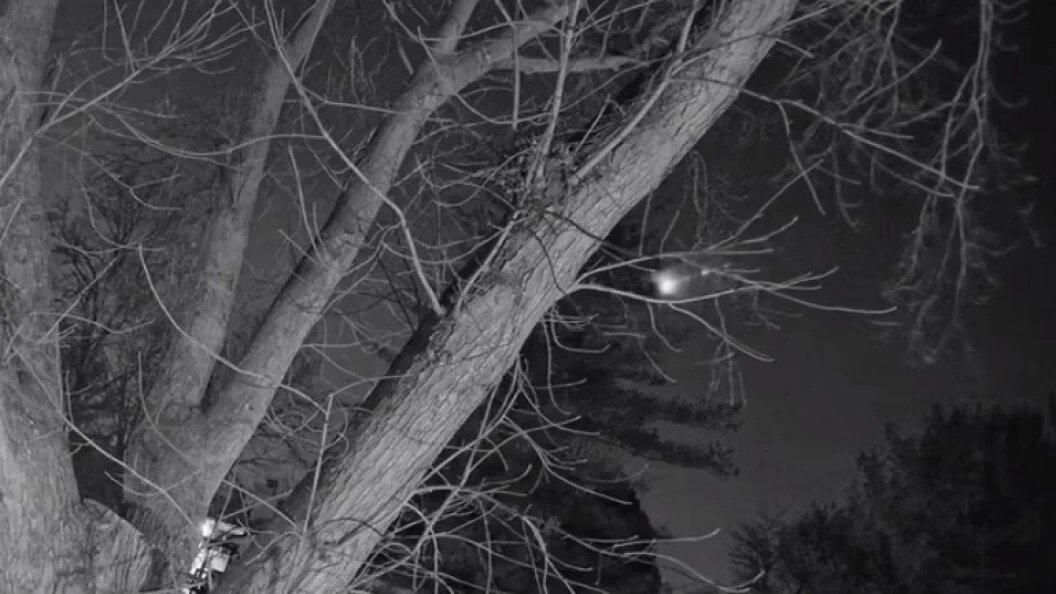    Telegram-канал КП