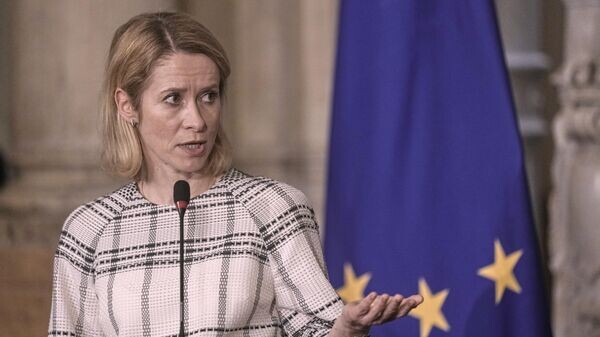    © AP Photo / Amr Nabil