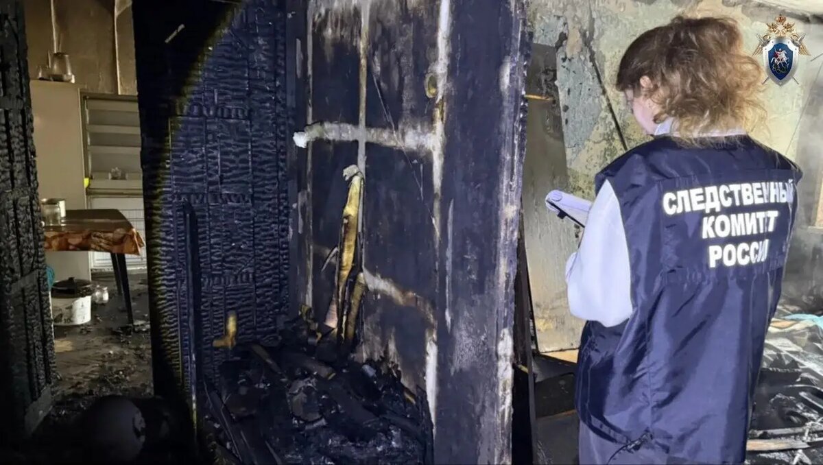    Фото: пресс-служба ГСУ СК России по Петербургу