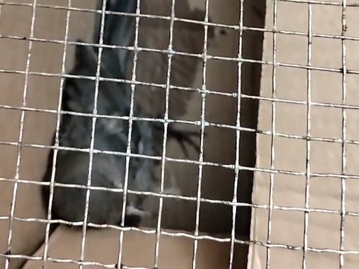 Доброта или инфантильность