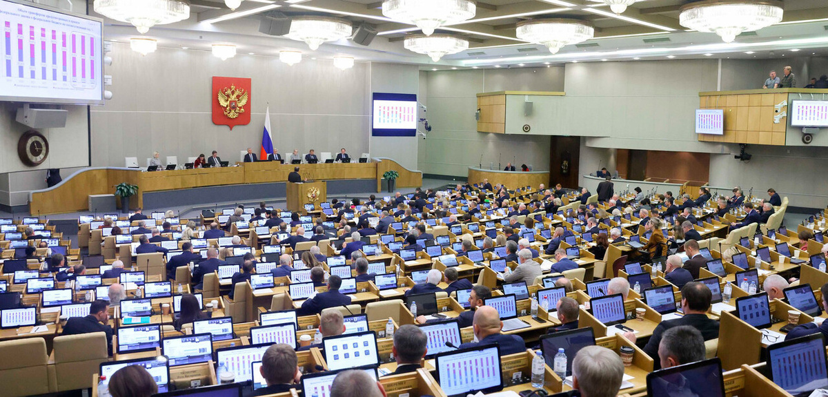    Фото: Официальный сайт Государственной Думы РФ
