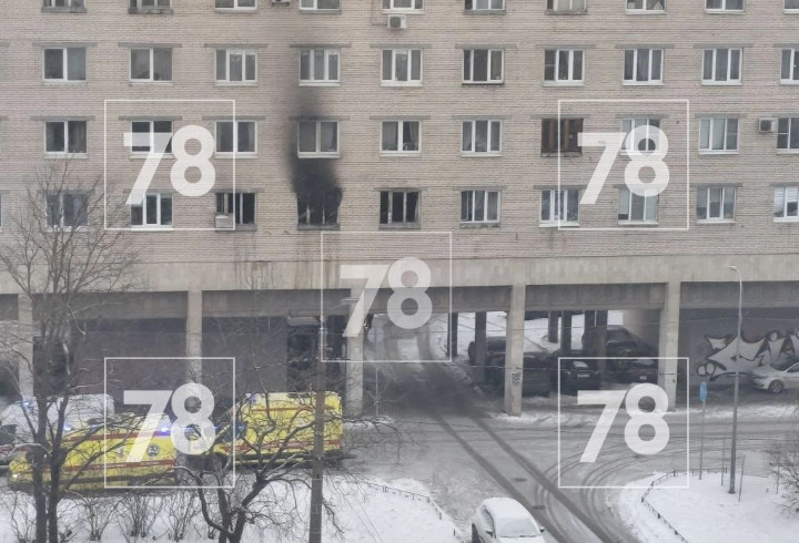 фото: @good78news