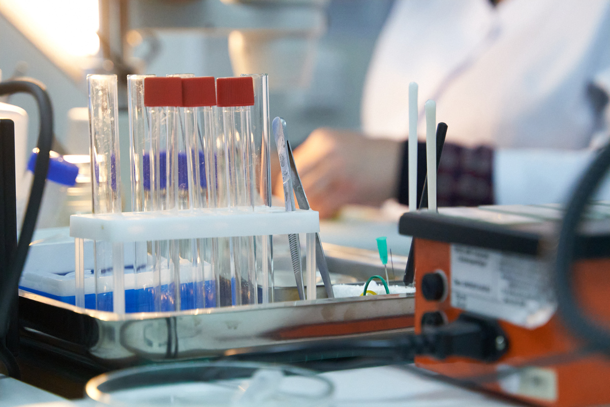    Фото: Лидия Аникина