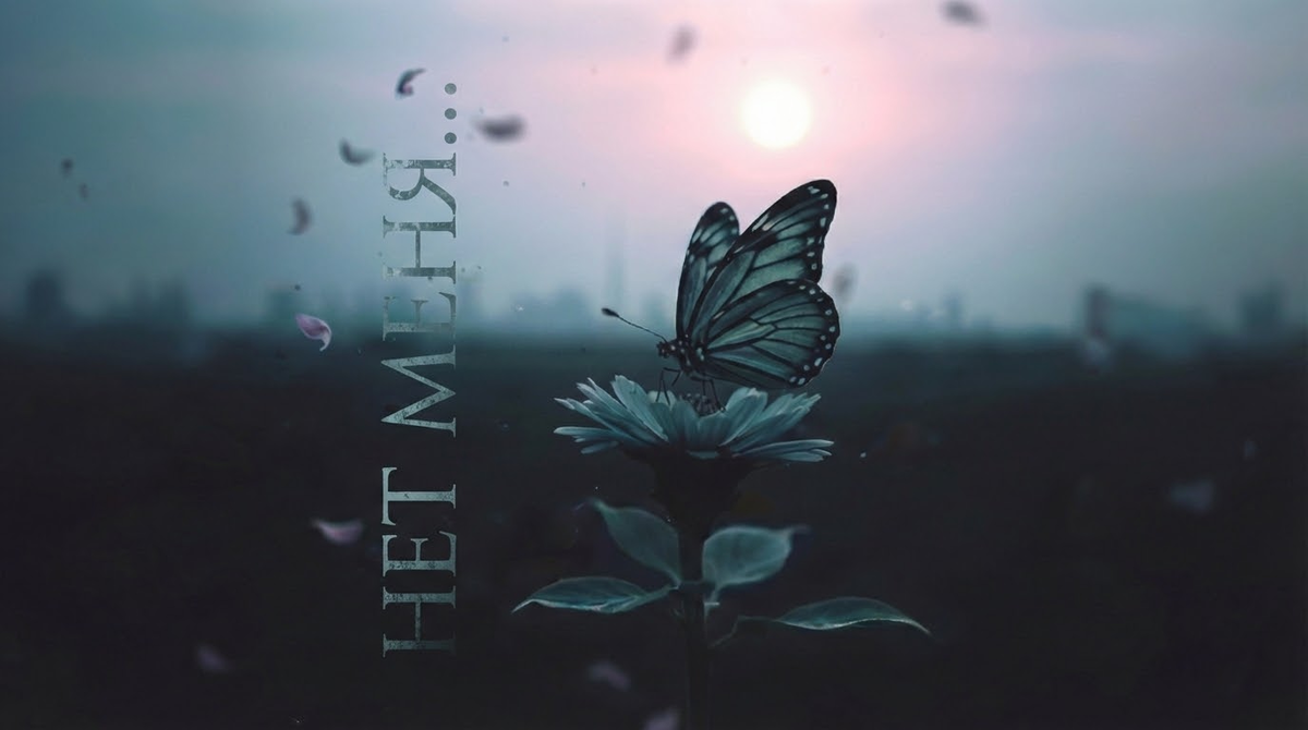 Нет меня... Обложка альбома.