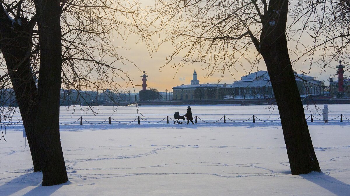    Фото: Zamir Usmanov/globalloookpress.com