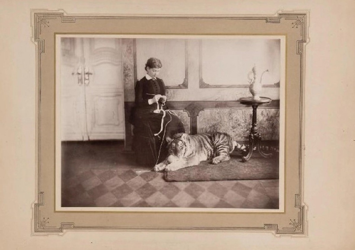 Живой тигр - лучший питомец по версии начала ХХ века
Фото: фонд государственного исторического музея, размещено на сайте "Госкаталог" (12+)