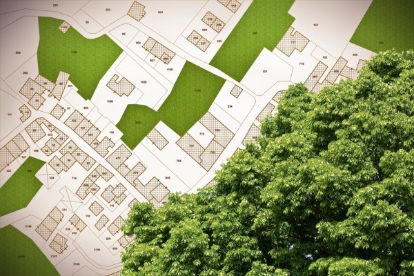 Источник фото shutterstock.com