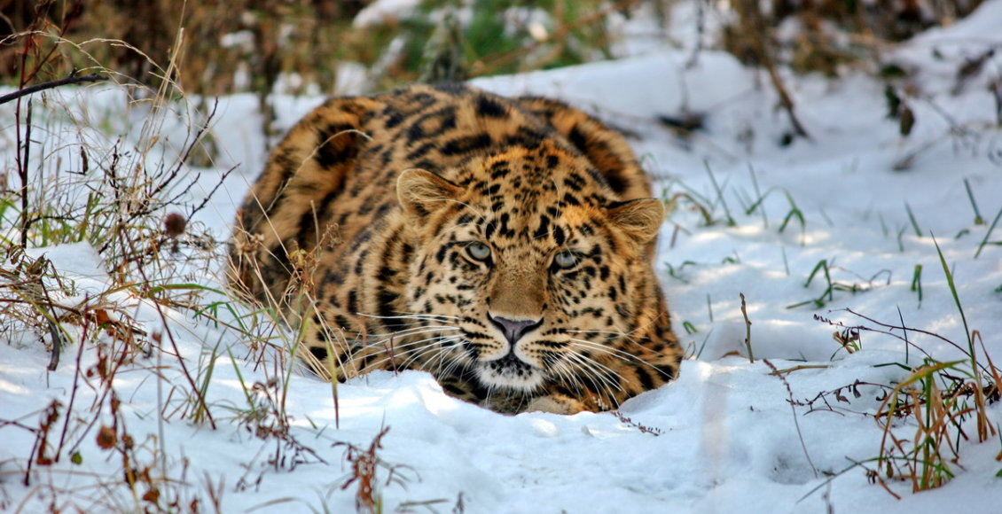    Фото: Минприроды РФ