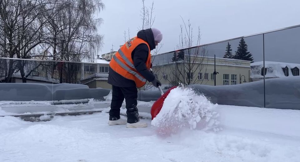    администрация Богородского городского округа