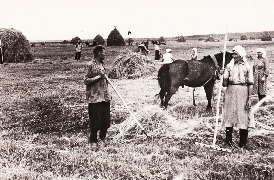 Взято из открытых источников интернета Яндекс.