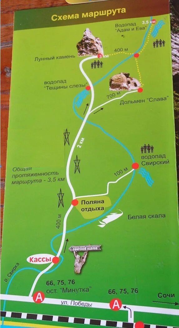 фото из интернета