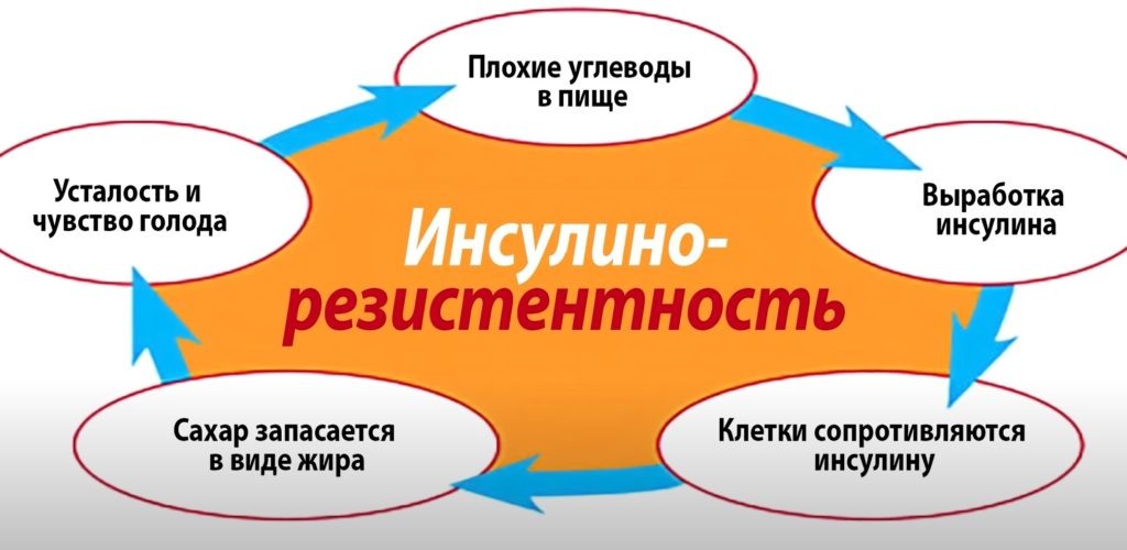 Порочный круг инсулинорезистентности