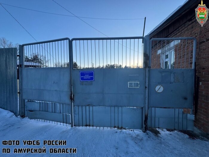 Закрытые наглухо ворота не спасут от визита следователей / Фото УФСБ России по Амурской области