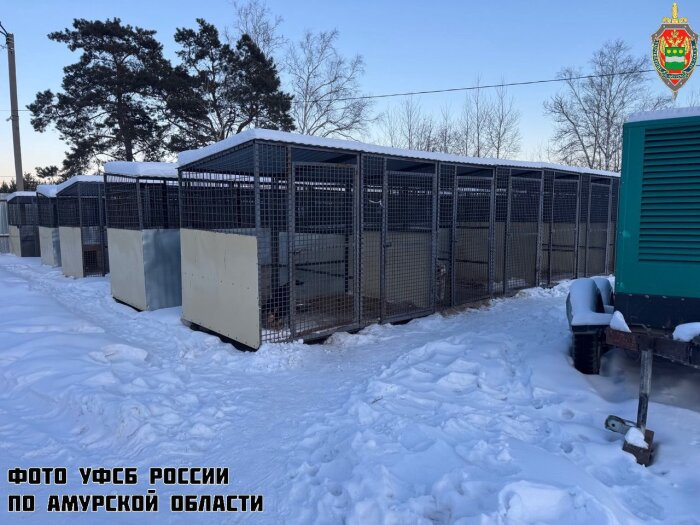 По снимку не скажешь, что здесь окопались злостные расхитители / Фото УФСБ России по Амурской области