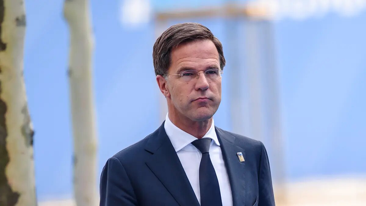    Фото: vm.ru Лев Гаврилов